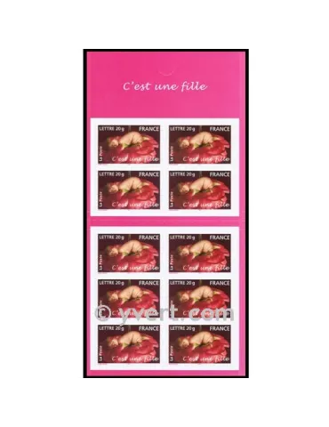 n° BC3804 -  Timbre France Carnets Divers
