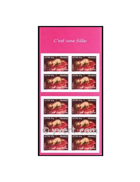 n° BC3804 -  Timbre France Carnets Divers
