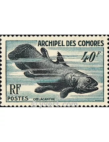 n° 13 -  Timbre Comores Poste