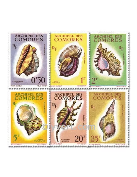 n° 19/24 -  Timbre Comores Poste
