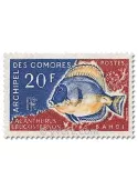n° 47/48 -  Timbre Comores Poste