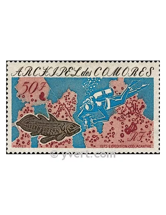 n° 104 -  Timbre Comores Poste