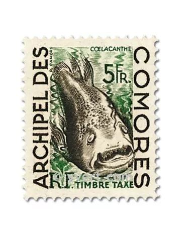 n° 3/5 -  Timbre Comores Taxe