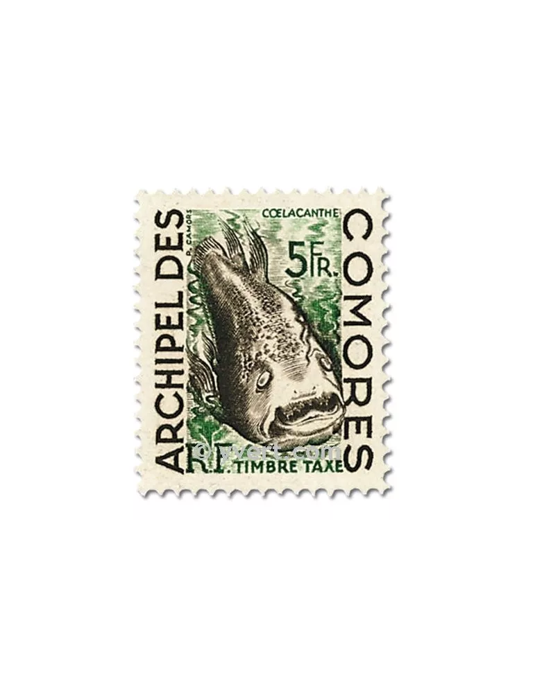n° 3/5 -  Timbre Comores Taxe