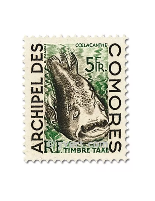n° 3/5 -  Timbre Comores Taxe