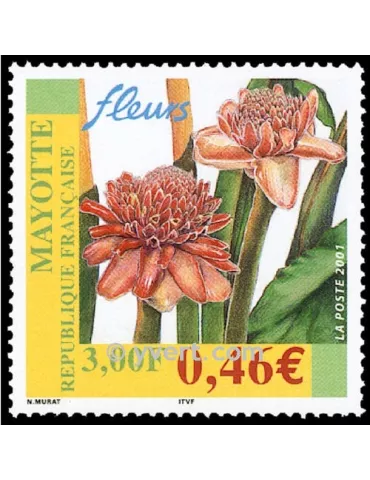 n° 107 -  Timbre Mayotte Poste