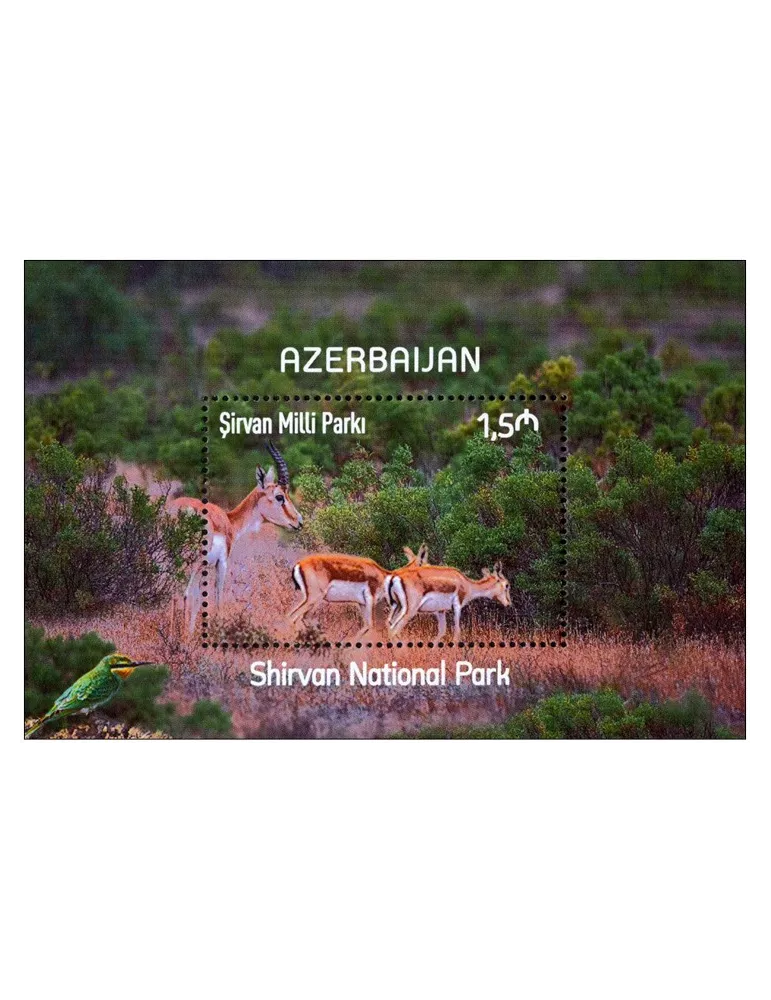 n° 241 - Timbre AZERBAIDJAN Blocs et feuillets
