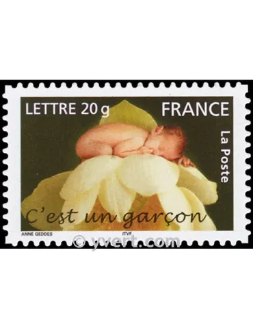 n° 55 -  Timbre France Autoadhésifs