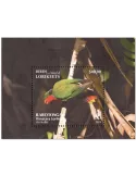 n° 13/16 - Timbre RAROTONGA Blocs et feuillets