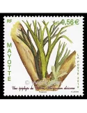n° 236 -  Timbre Mayotte Poste