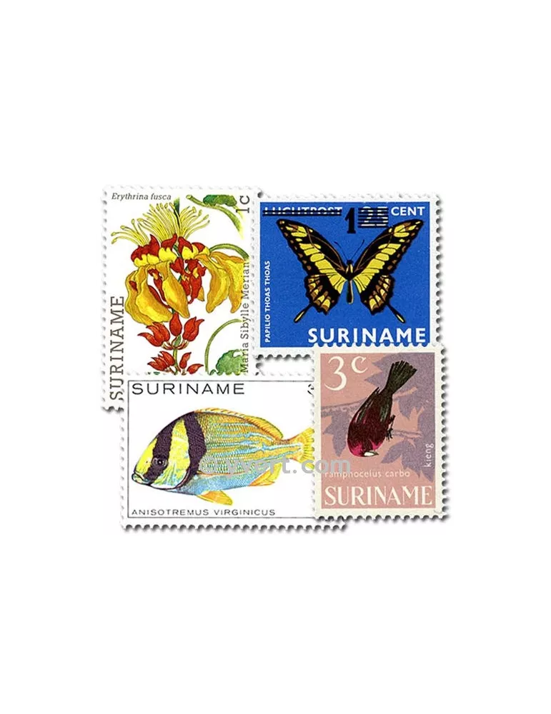 SURINAM : pochette de 50 timbres (Oblitérés)