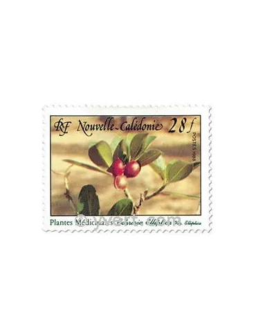 n° 556 -  Timbre Nelle-Calédonie Poste