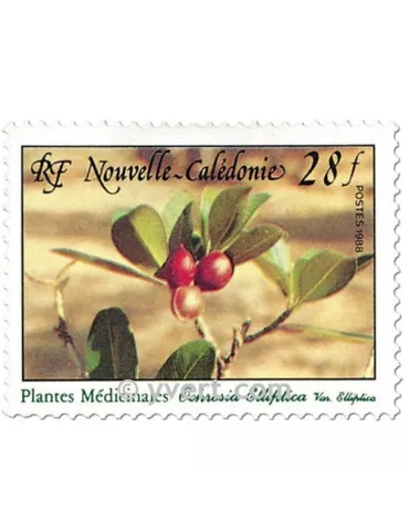 n° 556 -  Timbre Nelle-Calédonie Poste 2