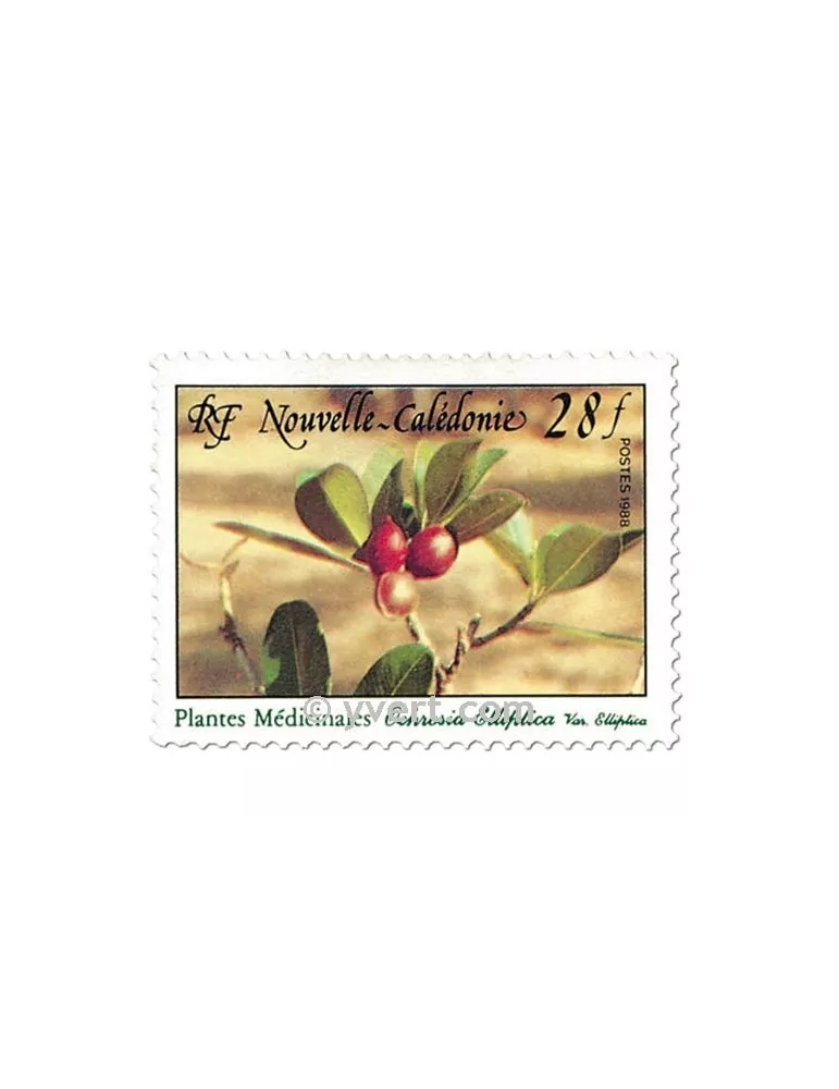 n° 556 -  Timbre Nelle-Calédonie Poste