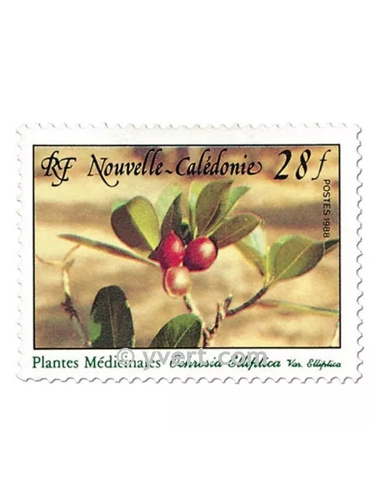 n° 556 -  Timbre Nelle-Calédonie Poste