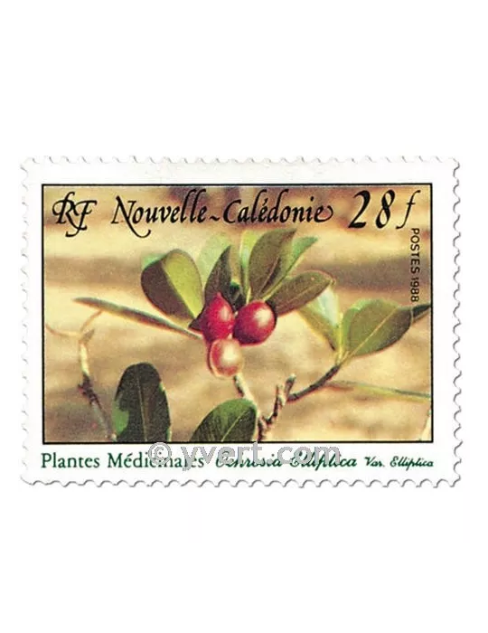 n° 556 -  Timbre Nelle-Calédonie Poste