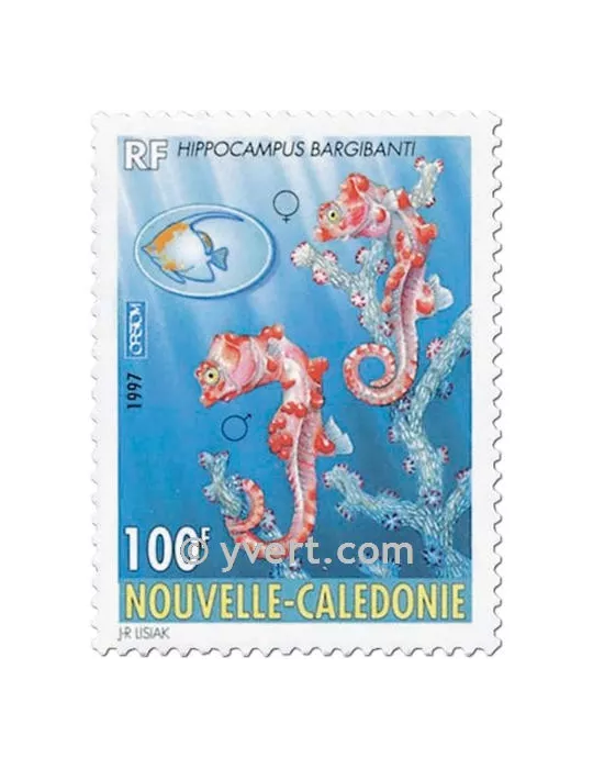 n° 740 -  Timbre Nelle-Calédonie Poste