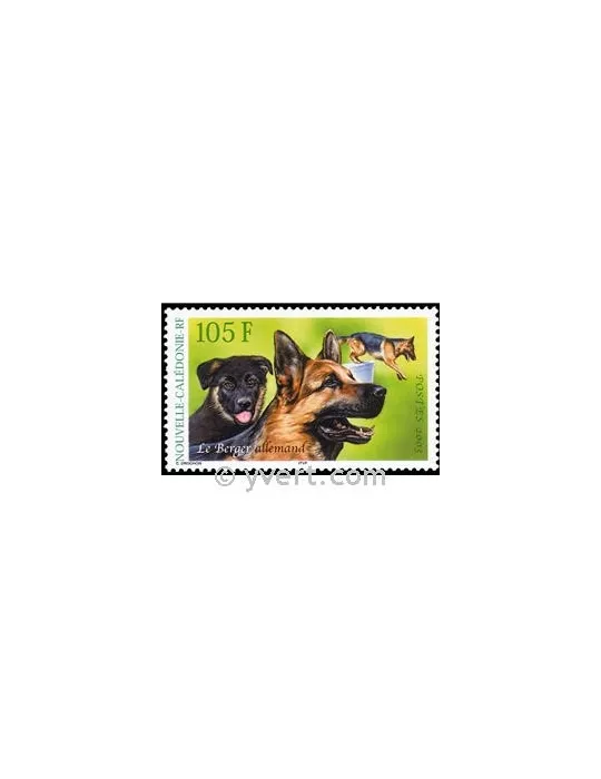 n° 905 -  Timbre Nelle-Calédonie Poste