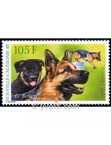 n° 905 -  Timbre Nelle-Calédonie Poste 2