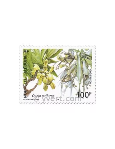 n° 919/921 -  Timbre Nelle-Calédonie Poste
