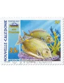 n° 998/1000 -  Timbre Nelle-Calédonie Poste