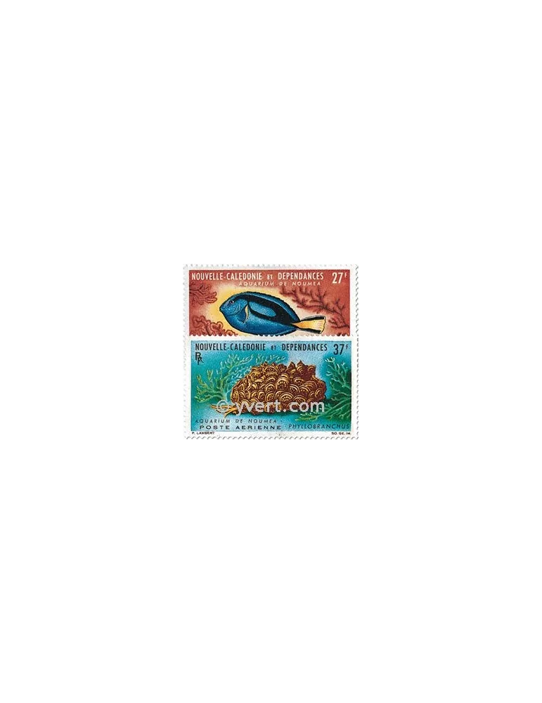 n° 77/78 -  Timbre Nelle-Calédonie Poste aérienne