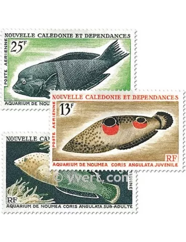 n° 81/83 -  Timbre Nelle-Calédonie Poste aérienne 2