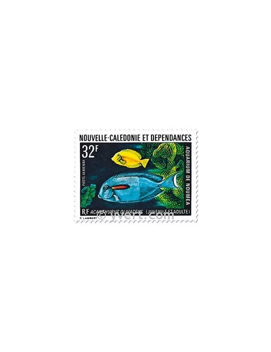 n° 145 -  Timbre Nelle-Calédonie Poste aérienne