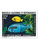 n° 145 -  Timbre Nelle-Calédonie Poste aérienne