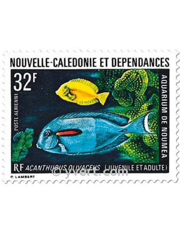 n° 145 -  Timbre Nelle-Calédonie Poste aérienne 2