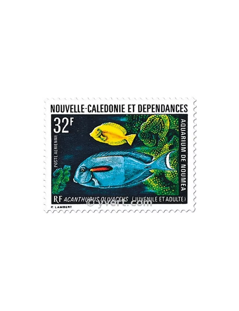 n° 145 -  Timbre Nelle-Calédonie Poste aérienne
