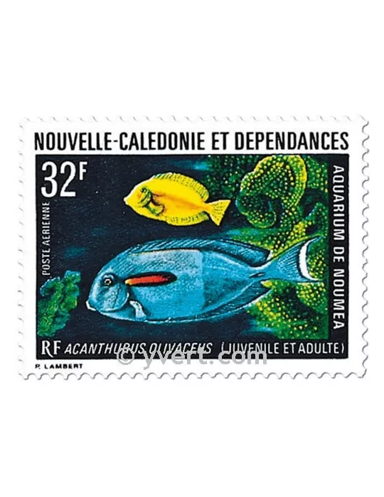 n° 145 -  Timbre Nelle-Calédonie Poste aérienne
