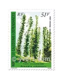 n° 238/239 -  Timbre Nelle-Calédonie Poste aérienne