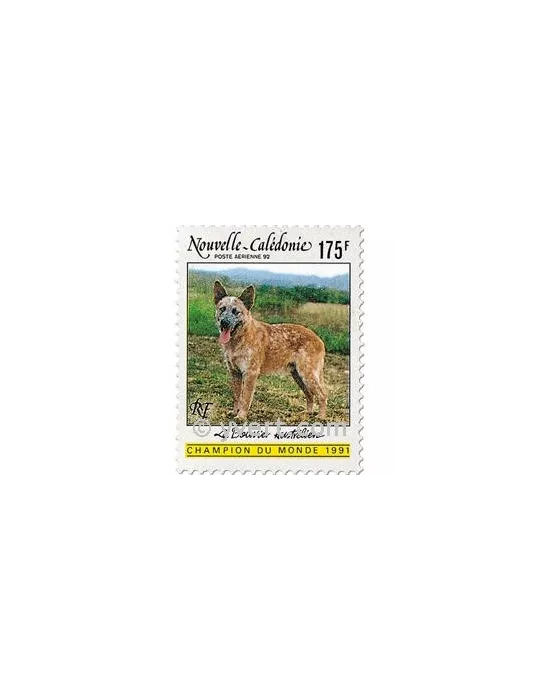 n° 288 -  Timbre Nelle-Calédonie Poste aérienne