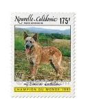 n° 288 -  Timbre Nelle-Calédonie Poste aérienne