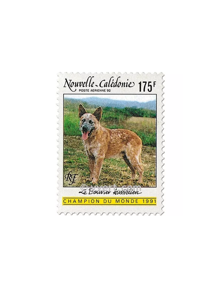 n° 288 -  Timbre Nelle-Calédonie Poste aérienne