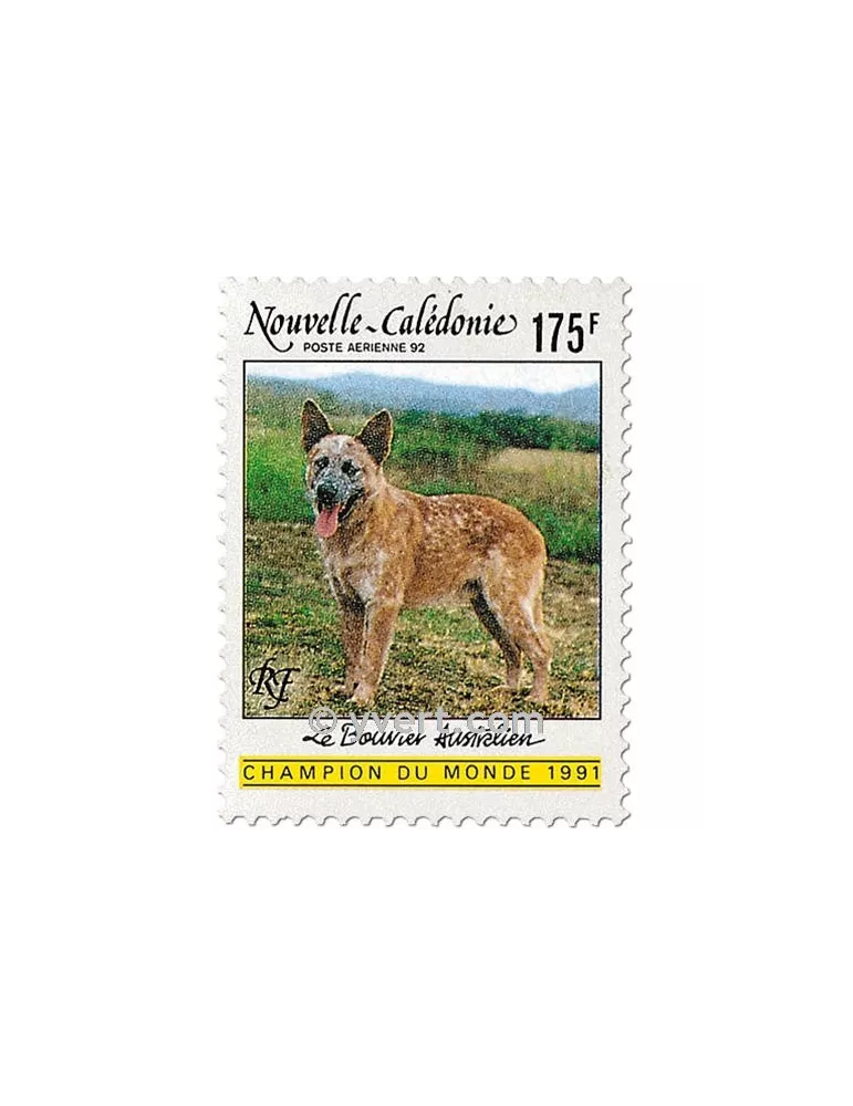 n° 288 -  Timbre Nelle-Calédonie Poste aérienne