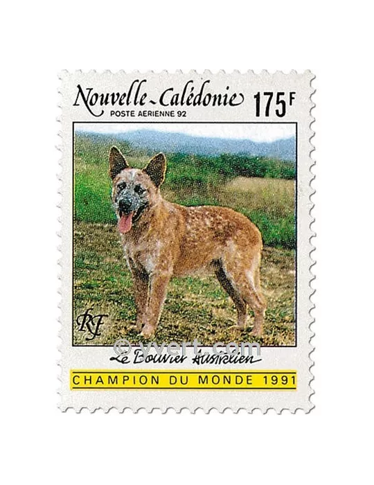 n° 288 -  Timbre Nelle-Calédonie Poste aérienne