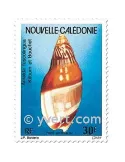 n° 290/291 -  Timbre Nelle-Calédonie Poste aérienne