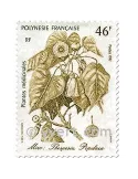 n° 285/287 -  Timbre Polynésie Poste