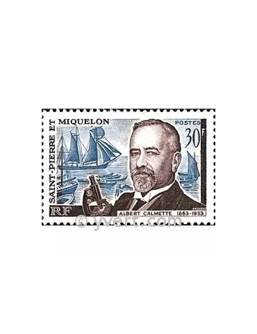 n° 368 -  Timbre Saint-Pierre et Miquelon Poste