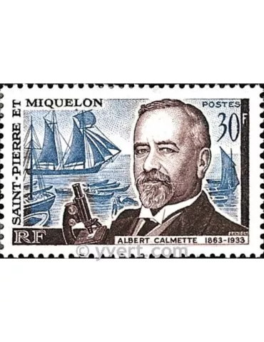 n° 368 -  Timbre Saint-Pierre et Miquelon Poste 2