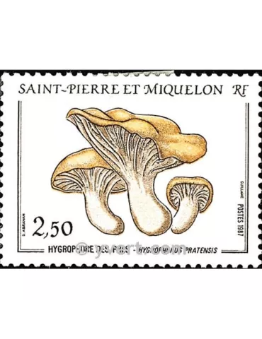 n° 475 -  Timbre Saint-Pierre et Miquelon Poste 2