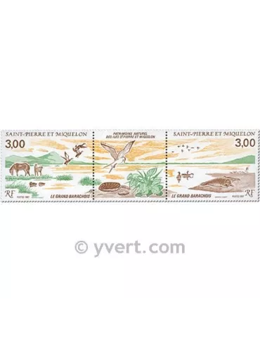 n° 485A -  Timbre Saint-Pierre et Miquelon Poste 2