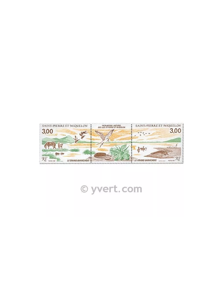 n° 485A -  Timbre Saint-Pierre et Miquelon Poste