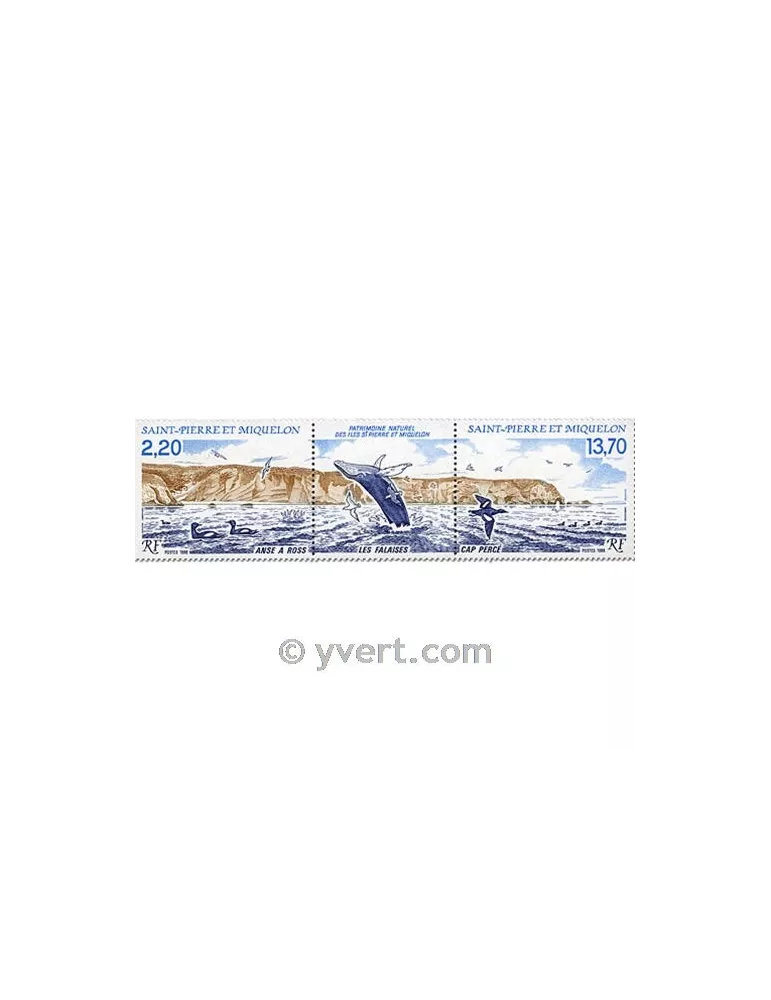 n° 495A -  Timbre Saint-Pierre et Miquelon Poste