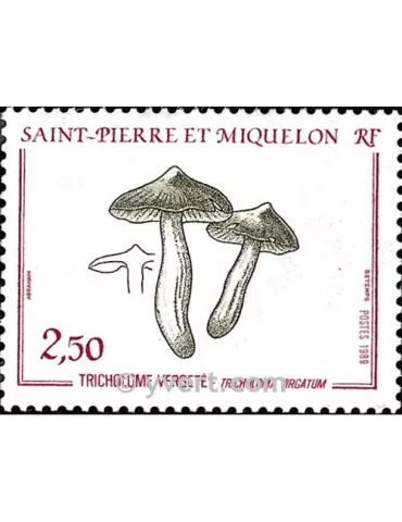 n° 497 -  Timbre Saint-Pierre et Miquelon Poste 2