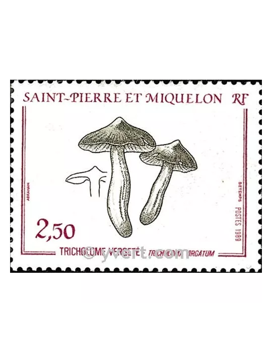 n° 497 -  Timbre Saint-Pierre et Miquelon Poste