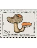 n° 513 -  Timbre Saint-Pierre et Miquelon Poste
