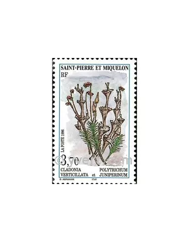 n° 626 -  Timbre Saint-Pierre et Miquelon Poste